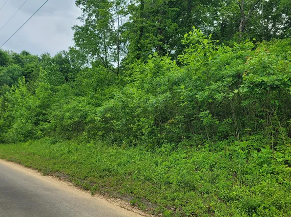 Tom Patterson Trl, Dandridge, TN 37725