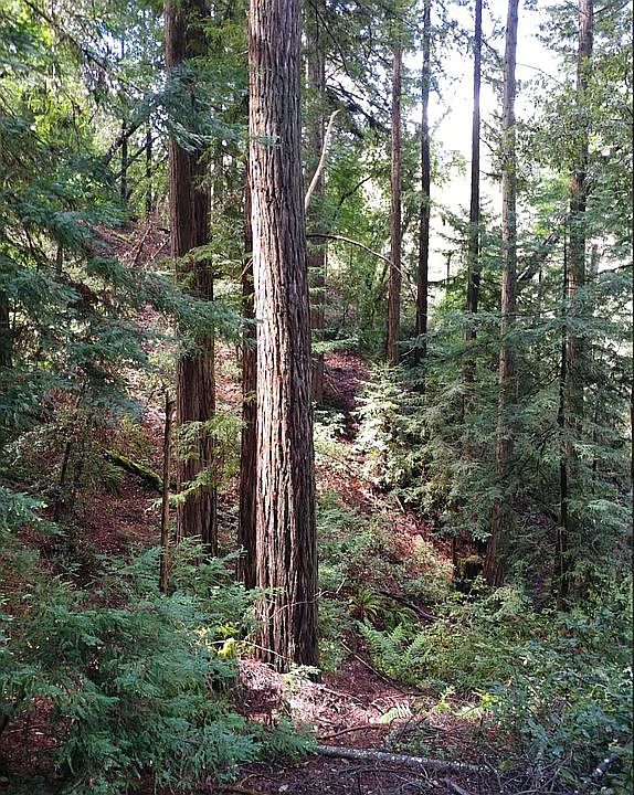 1st image of 20233 Skyline Blvd