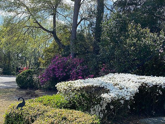 corner of English Garden