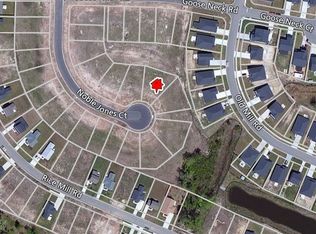 14 Noble Jones Ct, Port Wentworth, GA 31407