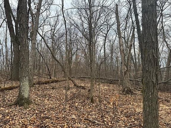 3rd image of LOT 29 Hidden Meadow Ln