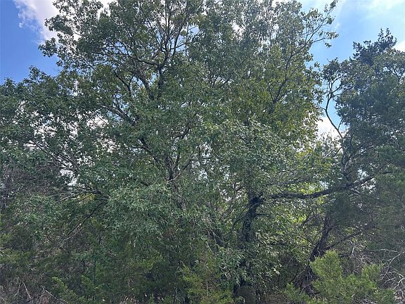 4th image of 74 Deer Ridge Rd
