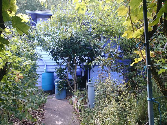 2nd image of 7037 34th Ave NE