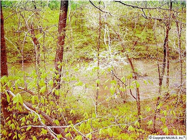 2nd image of 237 Lacy Ln