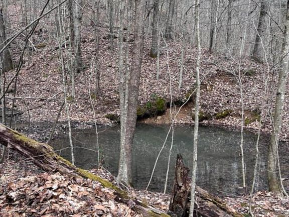 4th image of Watson Hollow Rd