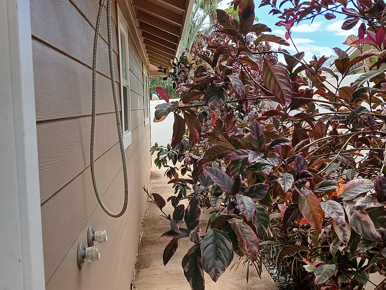 35 Polale St — Photo 20
