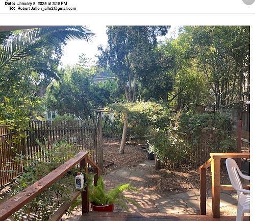 photo of private front yard