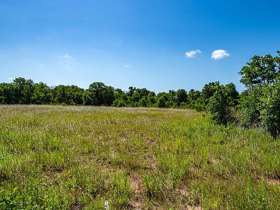4th image of LOT 1 County Road 335