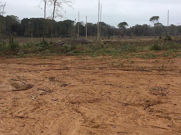 Bunching Ground