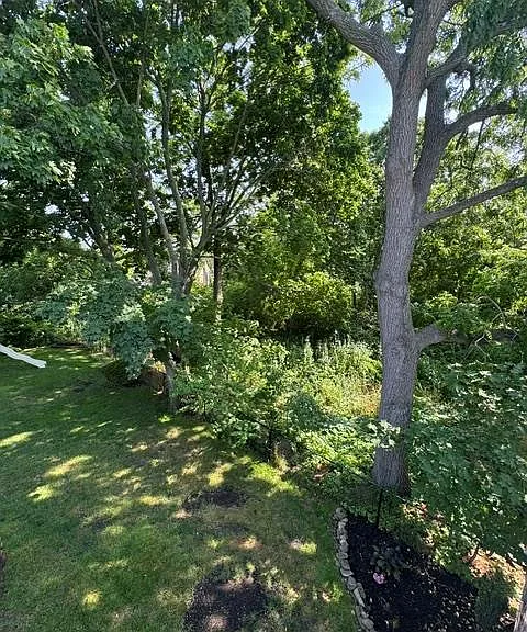 49A Madison St — Photo 4