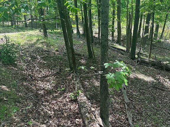 2nd image of 0 Whispering Acres Ln