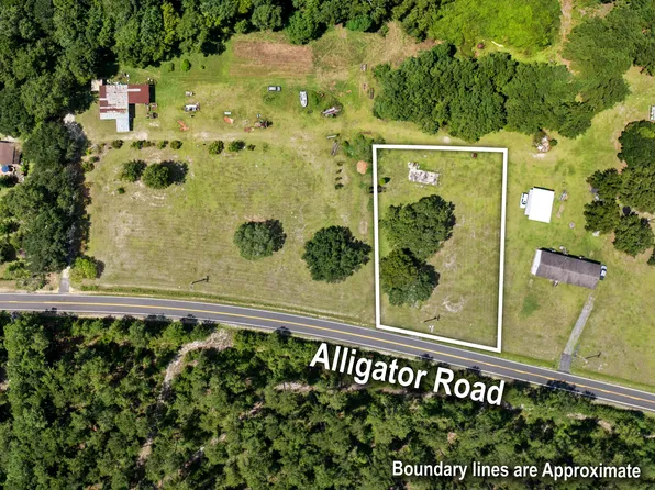 0 Alligator Rd, Cordesville, SC 29434