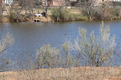 5th image of 4109 Brook Hollow Ln