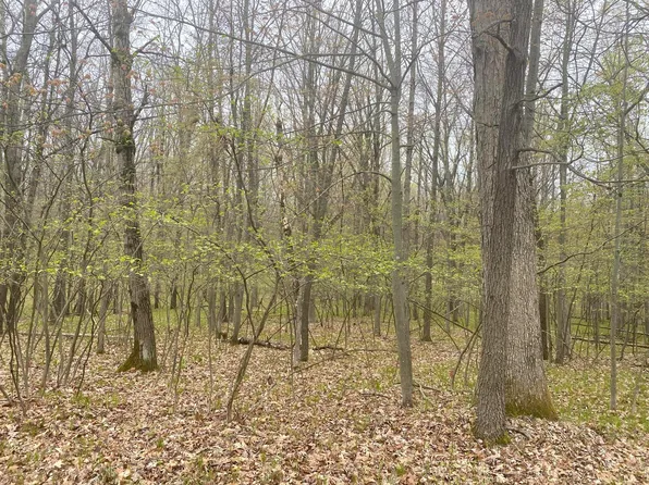 12090 Dubois Dr, Stanwood, MI 49346