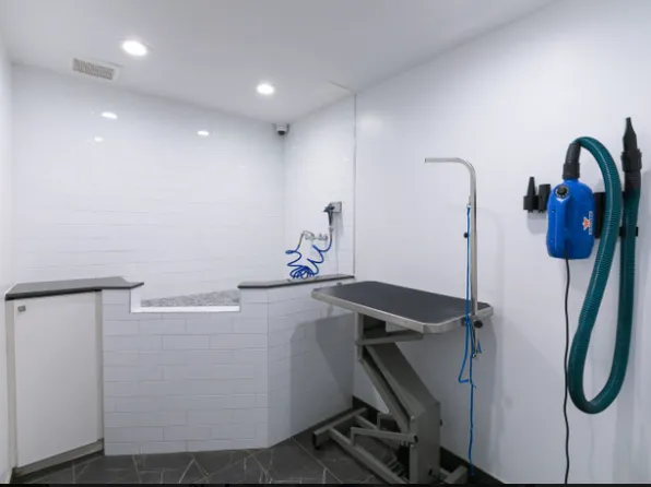 123 Parkside Avenue image 12 of 20