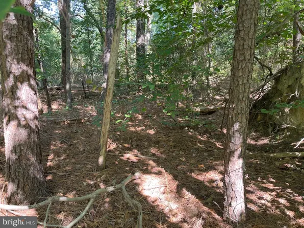 Stratford Hall Rd, Montross, VA 22520