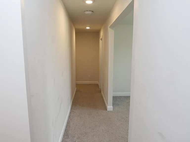 870 Curlew Cir — Photo 51