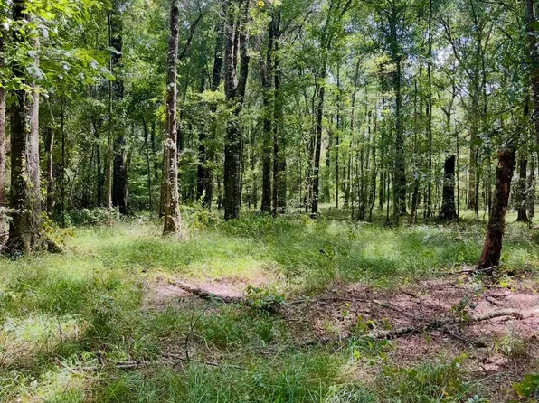 Jh Jenkins Ln, Denham Springs, LA 70706