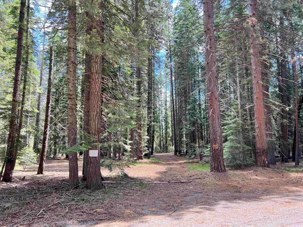 2-B-11 Rocky Ridge Way, McCloud, CA 96057