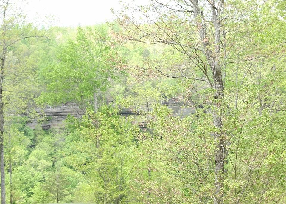 2nd image of Eagle Bluff Ln