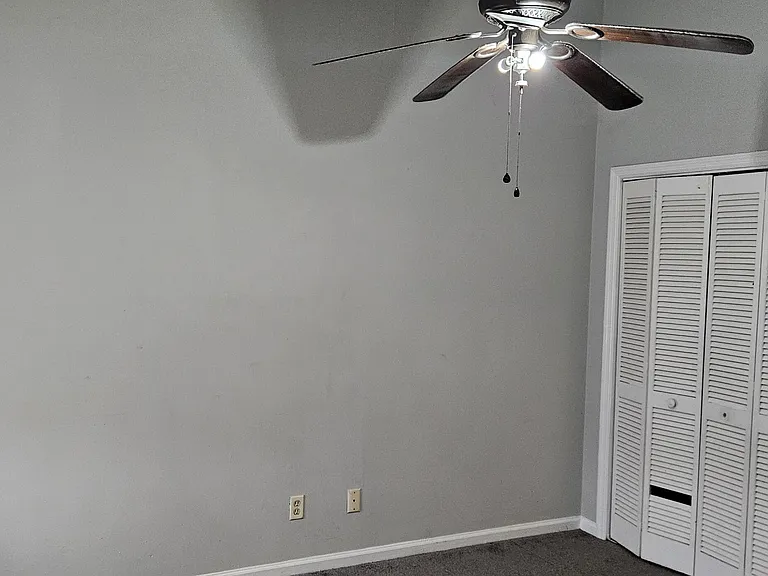 269 Pine Shadow Dr — Photo 7