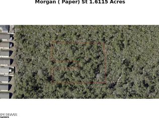 0 Morgan St, Lake Helen, FL 32744