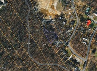 0 Snyder Dr, Johnson City, TN 37615