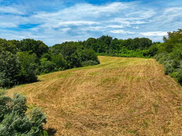Robinson Hill Rd Lot Wp001, Makanda, IL 62958