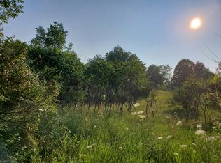 S 132nd Ave, Hesperia, MI 49421