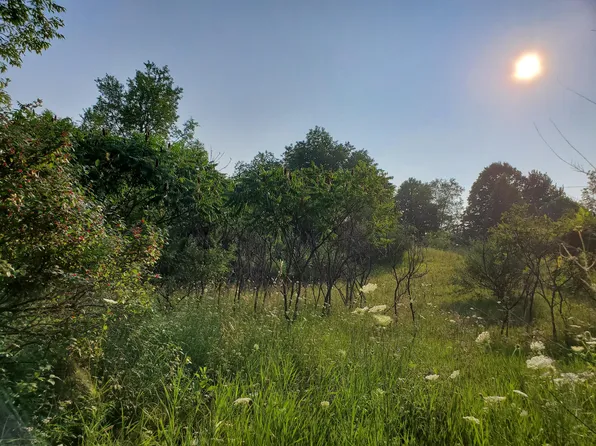 S 132nd Ave, Hesperia, MI 49421