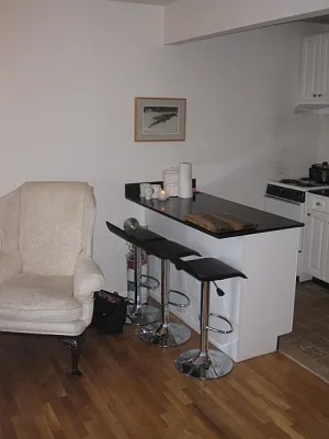 Rented by Citi Habitats | media 11