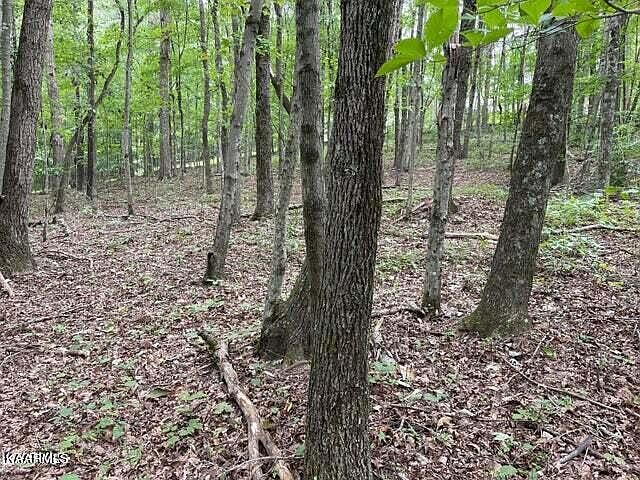 1st image of Nickey Ln