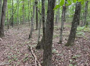 Nickey Ln, Harriman, TN 37748