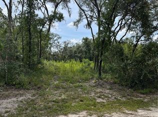 8143 Chimney Rock Dr #11, Webster, FL 33597