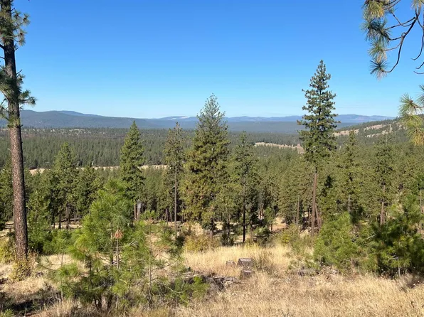 Nna Corkscrew Canyon Rd, Tumtum, WA 99034