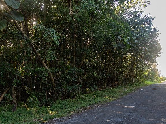 3rd image of 6th Avenue Hialoa Lot 2198