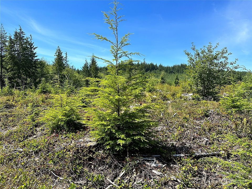 0 American Mill Road, Cosmopolis, WA 98537 MLS 2154885 Zillow