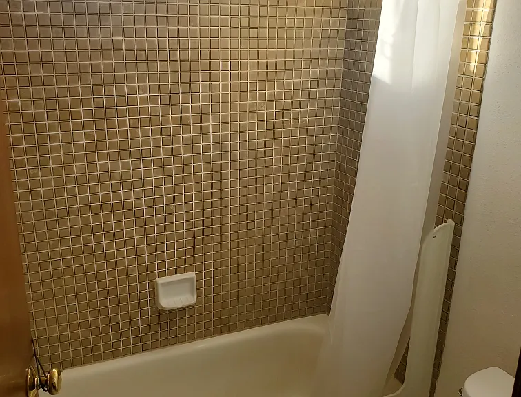 Guest bathroom