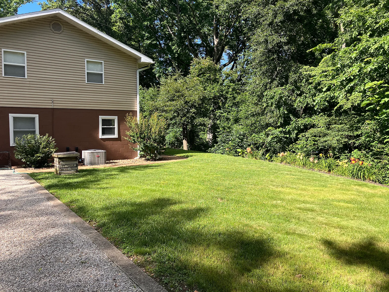 1 bed, 800 sqft, $800 — Photo 3