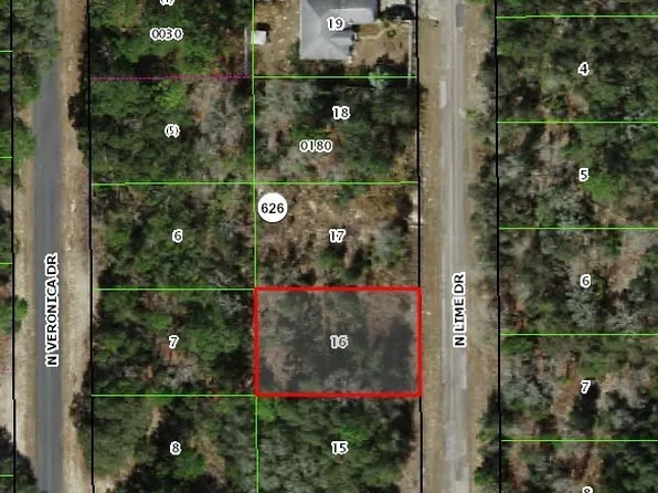 7164 N Lime Dr, Citrus Springs, FL 34433