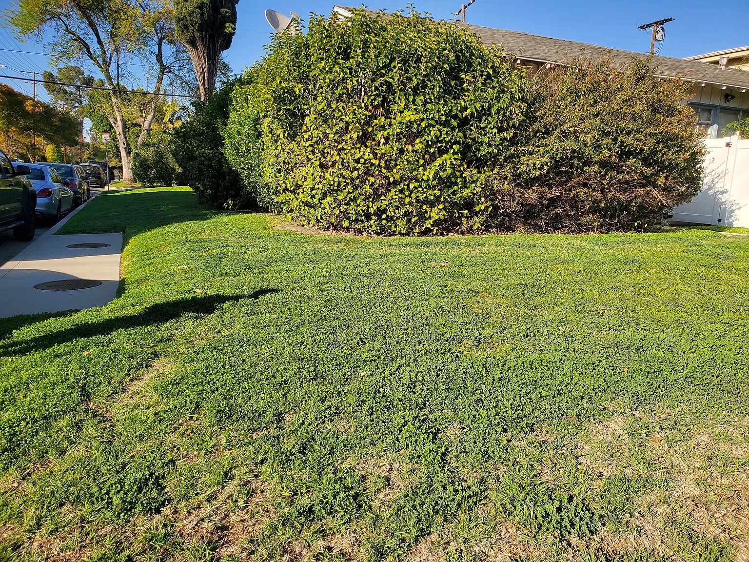 13527 Burbank Blvd — Photo 2