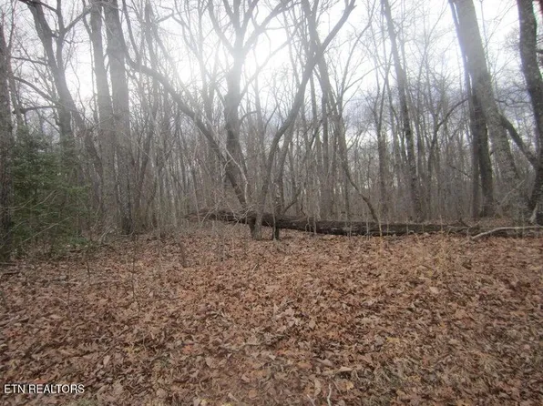 114 Folkstone Rd, Fairfield Glade, TN 38558