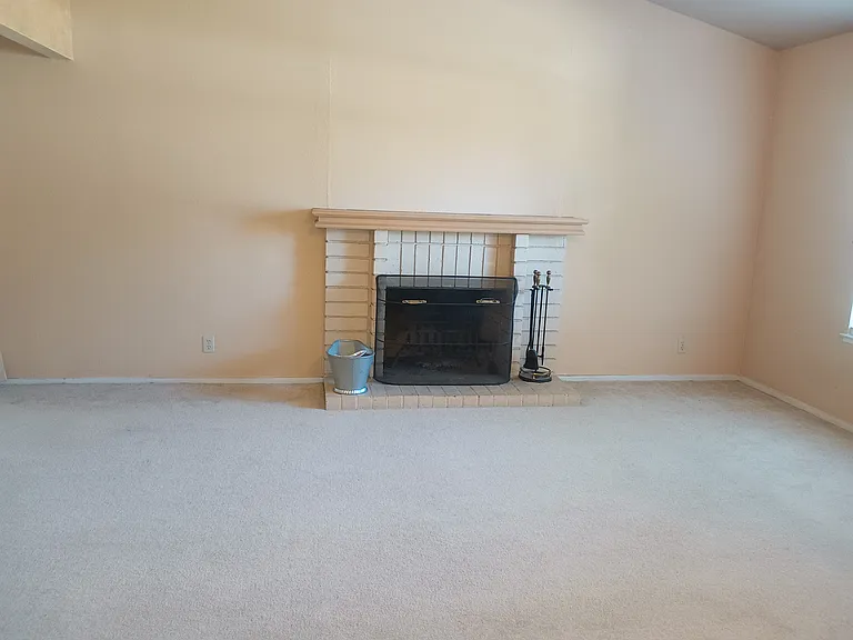 Living room fireplace with screen/tools