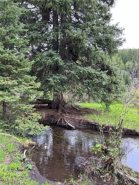 1st image of Nhn Griffin Creek Rd