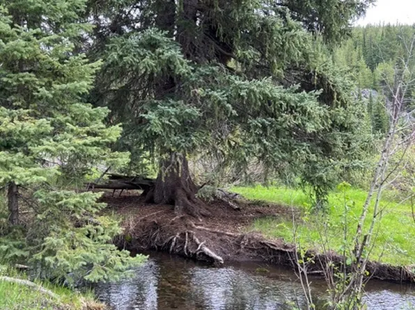Nhn Griffin Creek Rd, Marion, MT 59925