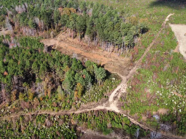 1 Truitt Rd, Pickens, MS 39146