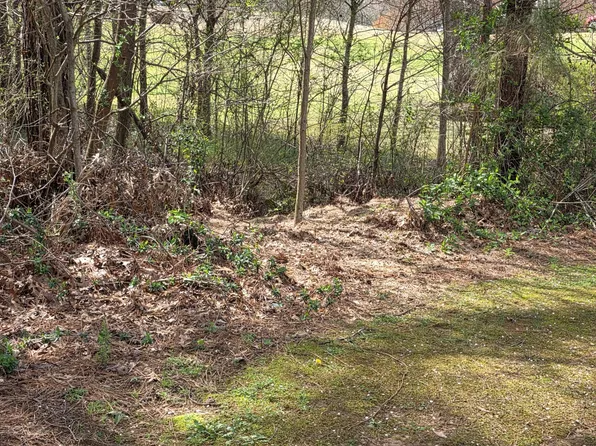 521 Birkdale Blvd, Carrollton, GA 30116