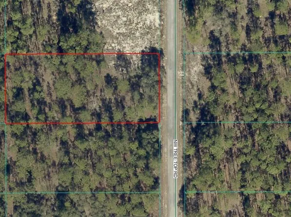 NW TREE TOP ROAD LOT 9, DUNNELLON, FL 34431