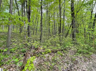 10A Brandt Rd, Mancelona, MI 49659