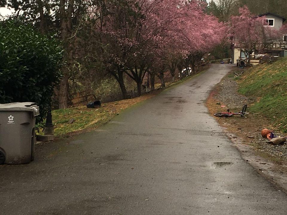 1st image of 23031 140th Ave SE #4